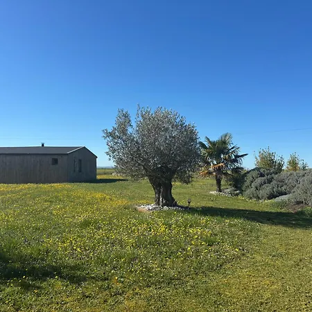 Séjour à la campagne En Bois Privatif St Pourcain Sur Sioule